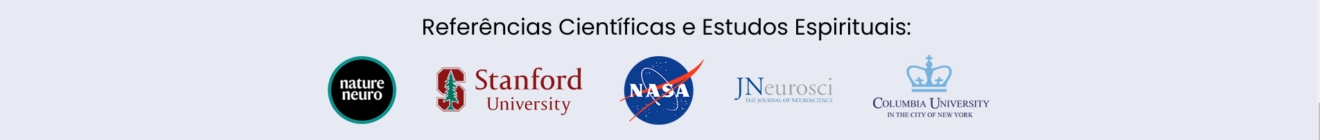 Texto do seu parágrafo